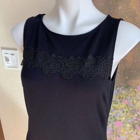 The Limited Beautiful lace detailed dress. - Picture 3 of 7